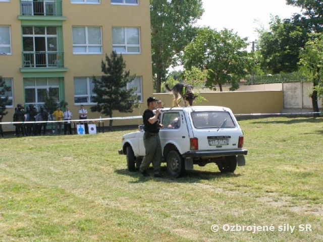 Deň veteránov