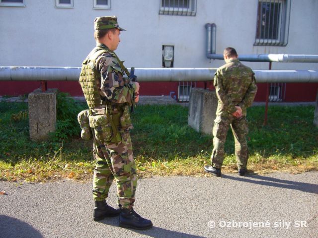"REBEL" na Sliači