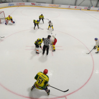 Fighter cup 2026